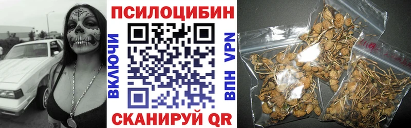 наркота Светлогорск Псилоцибиновые грибы прущие грибы