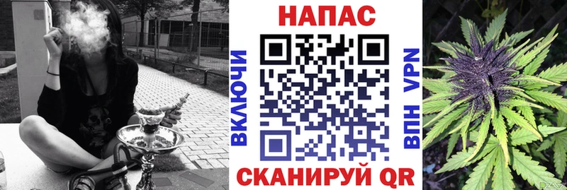 сколько стоит  кракен зеркало  Марихуана ГИДРОПОН  Светлогорск 